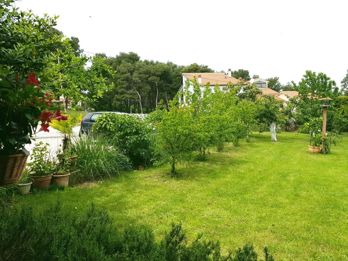 Greenhill Pula Exteriör bild